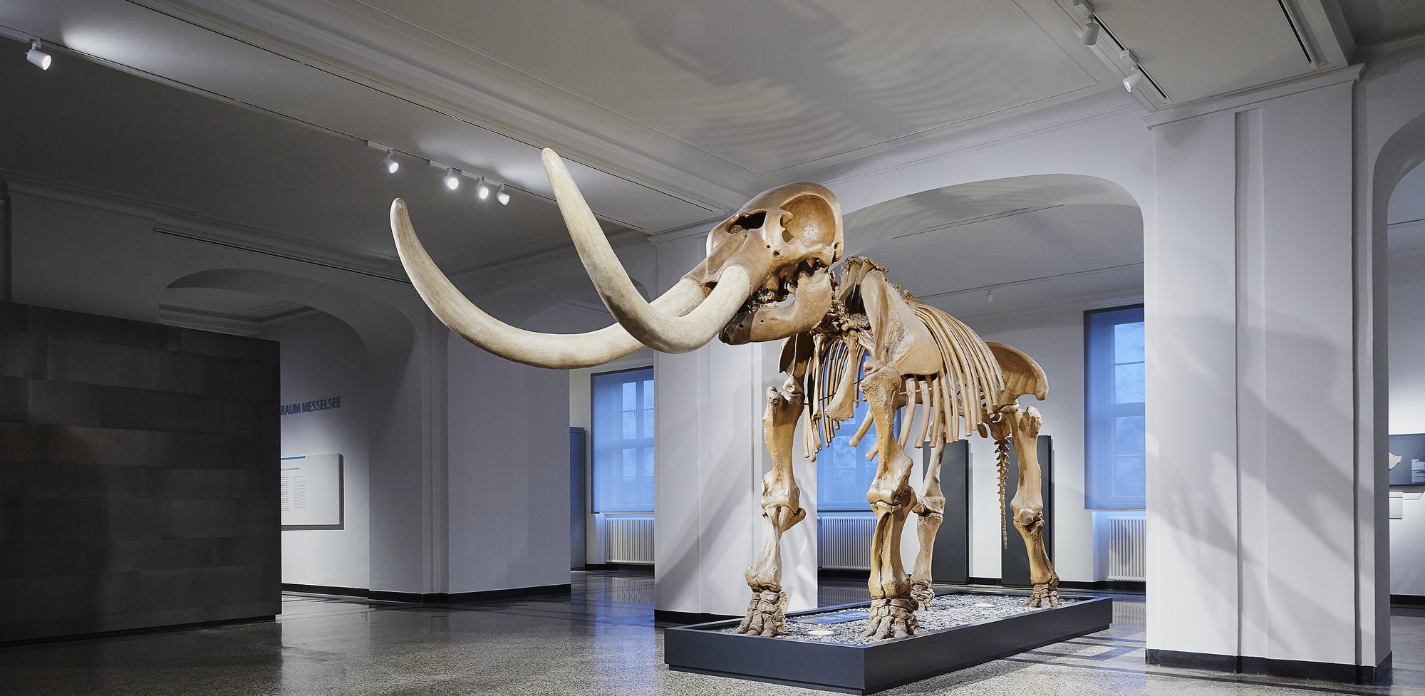 Hessisches Landesmuseum